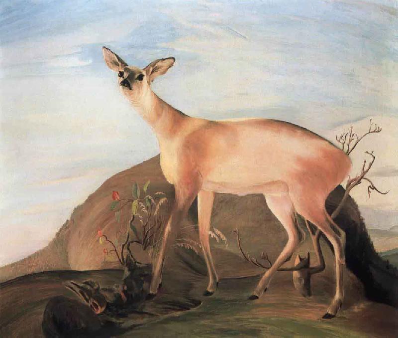 Kosztka, Tivadar Csontvry Deer Germany oil painting art